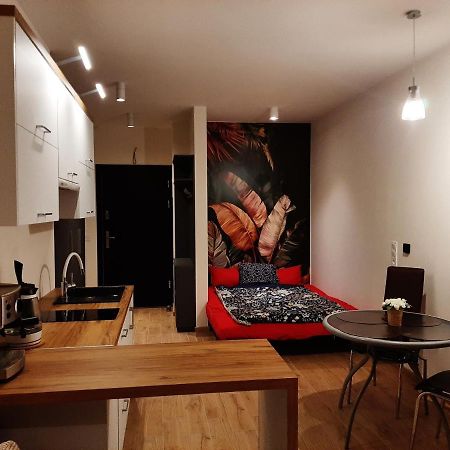 Apartament Pod Szyndzielnia, Debowiec ビエルスコ・ビアバ エクステリア 写真