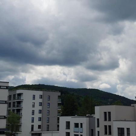 Apartament Pod Szyndzielnia, Debowiec ビエルスコ・ビアバ エクステリア 写真
