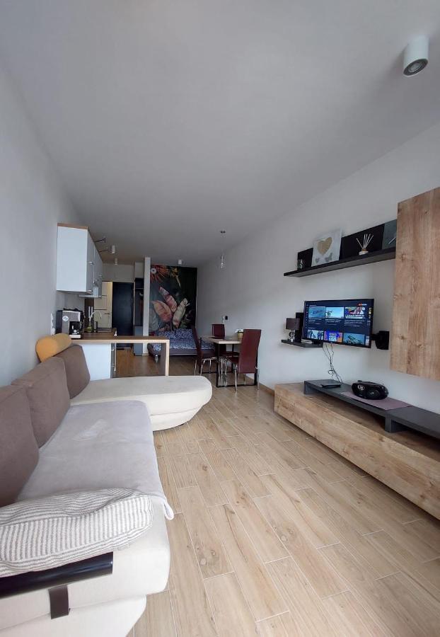Apartament Pod Szyndzielnia, Debowiec ビエルスコ・ビアバ エクステリア 写真