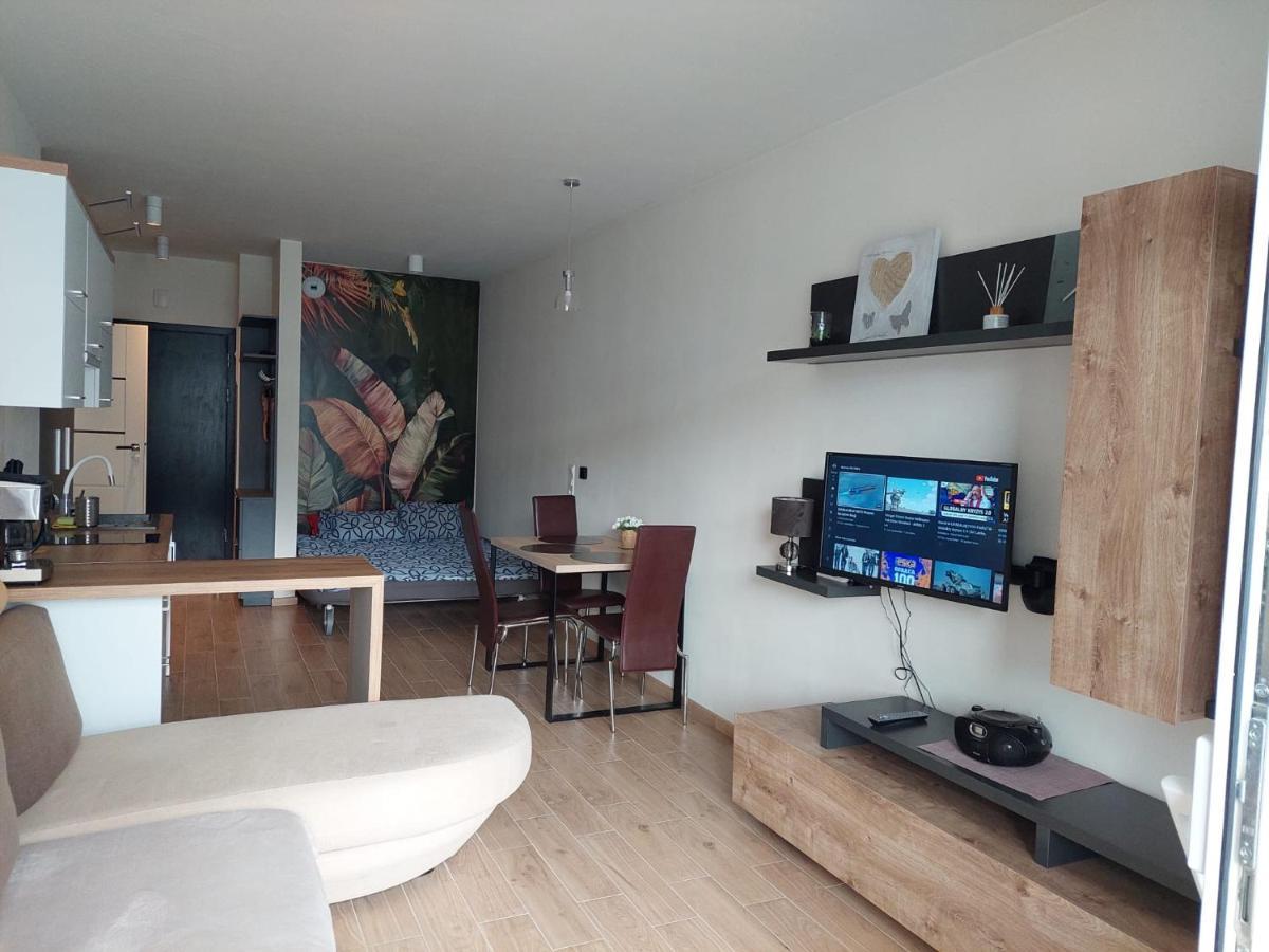 Apartament Pod Szyndzielnia, Debowiec ビエルスコ・ビアバ エクステリア 写真